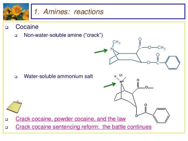 crack vs powder cocaine laws